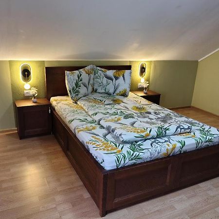 Vis Pension Viile Satu Mare Zewnętrze zdjęcie