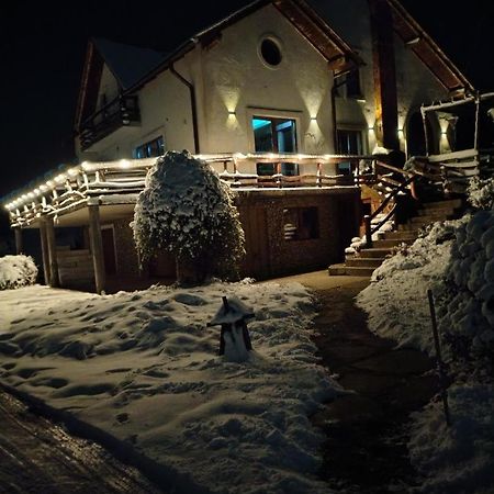 Vis Pension Viile Satu Mare Zewnętrze zdjęcie