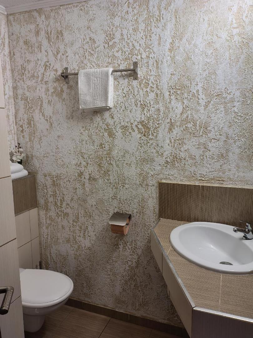 Vis Pension Viile Satu Mare Zewnętrze zdjęcie