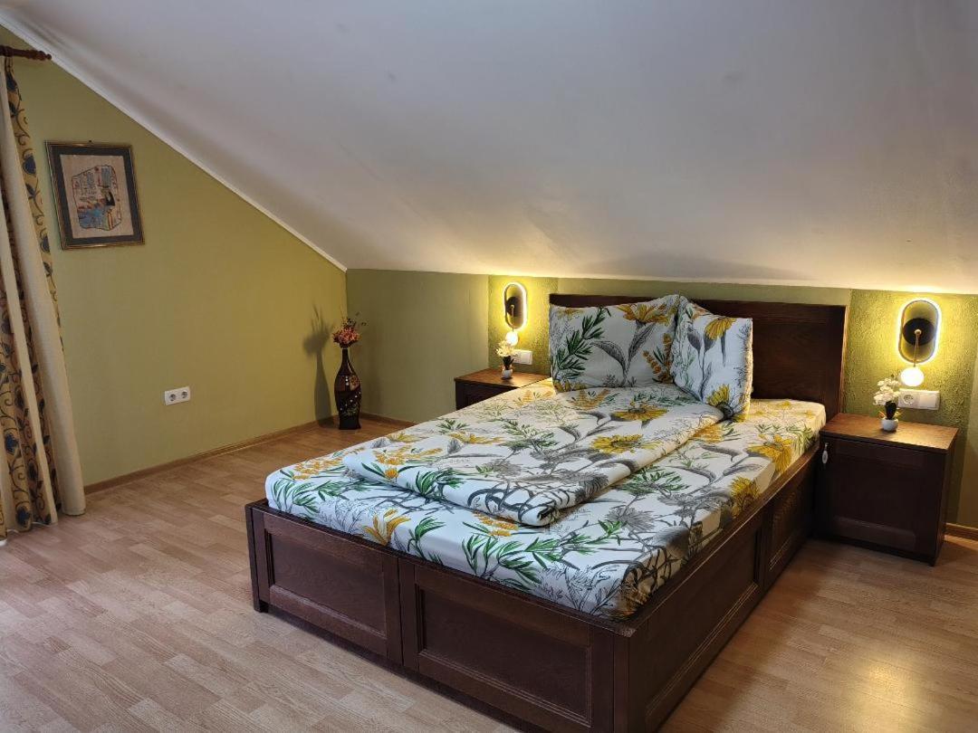 Vis Pension Viile Satu Mare Zewnętrze zdjęcie