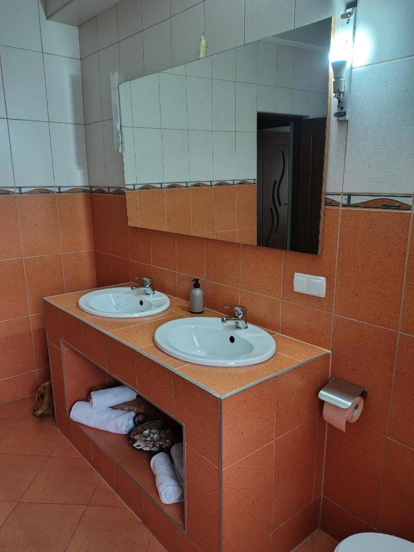 Vis Pension Viile Satu Mare Zewnętrze zdjęcie