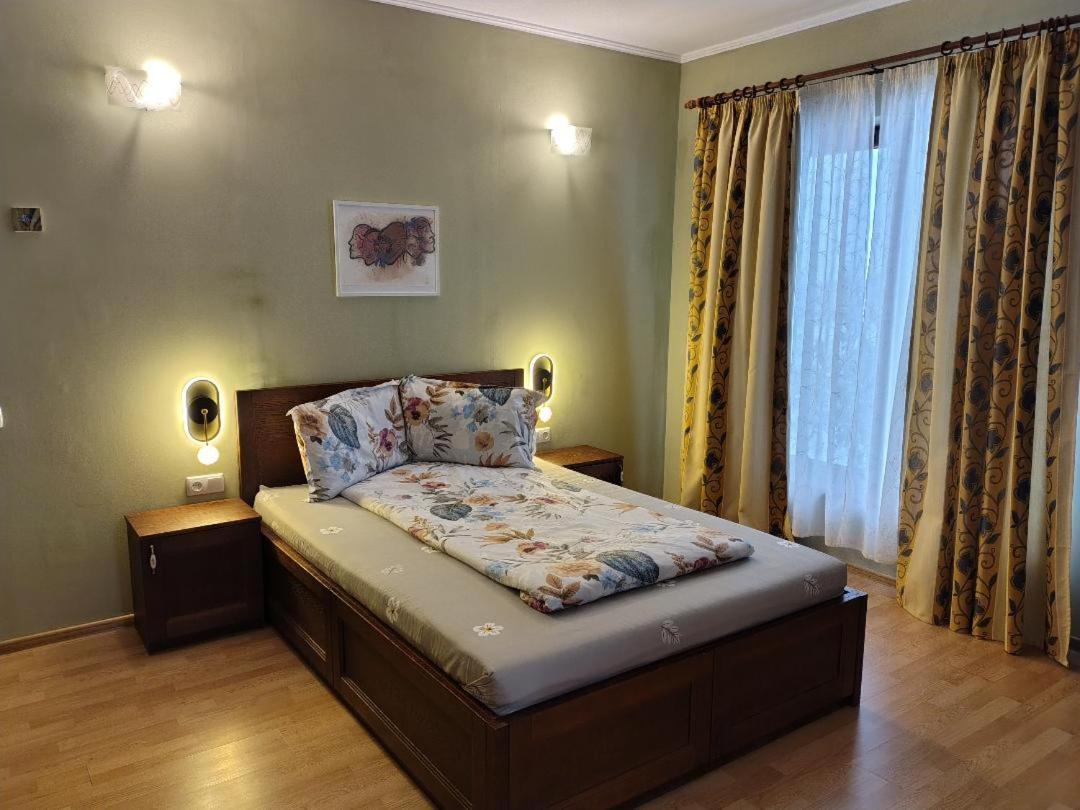 Vis Pension Viile Satu Mare Zewnętrze zdjęcie