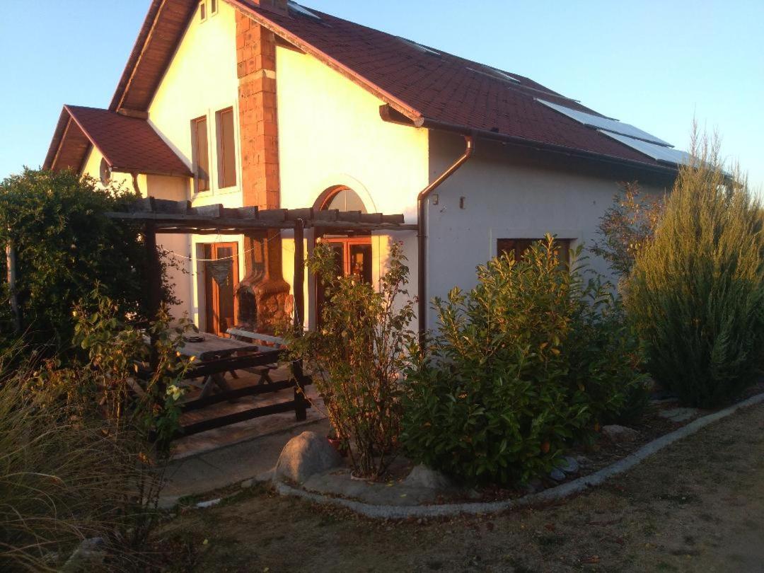 Vis Pension Viile Satu Mare Zewnętrze zdjęcie