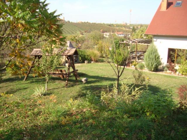 Vis Pension Viile Satu Mare Zewnętrze zdjęcie