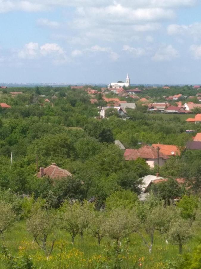 Vis Pension Viile Satu Mare Zewnętrze zdjęcie