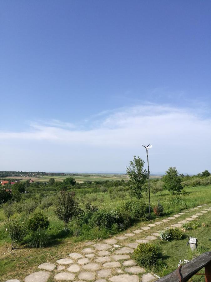 Vis Pension Viile Satu Mare Zewnętrze zdjęcie