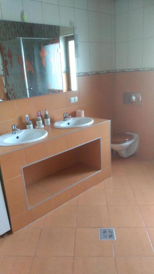 Vis Pension Viile Satu Mare Zewnętrze zdjęcie