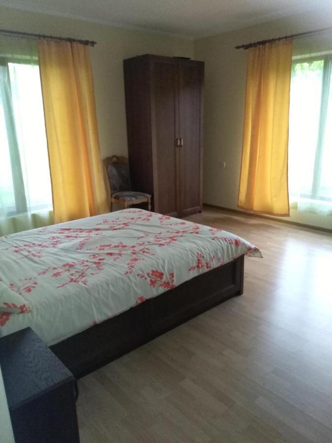 Vis Pension Viile Satu Mare Zewnętrze zdjęcie
