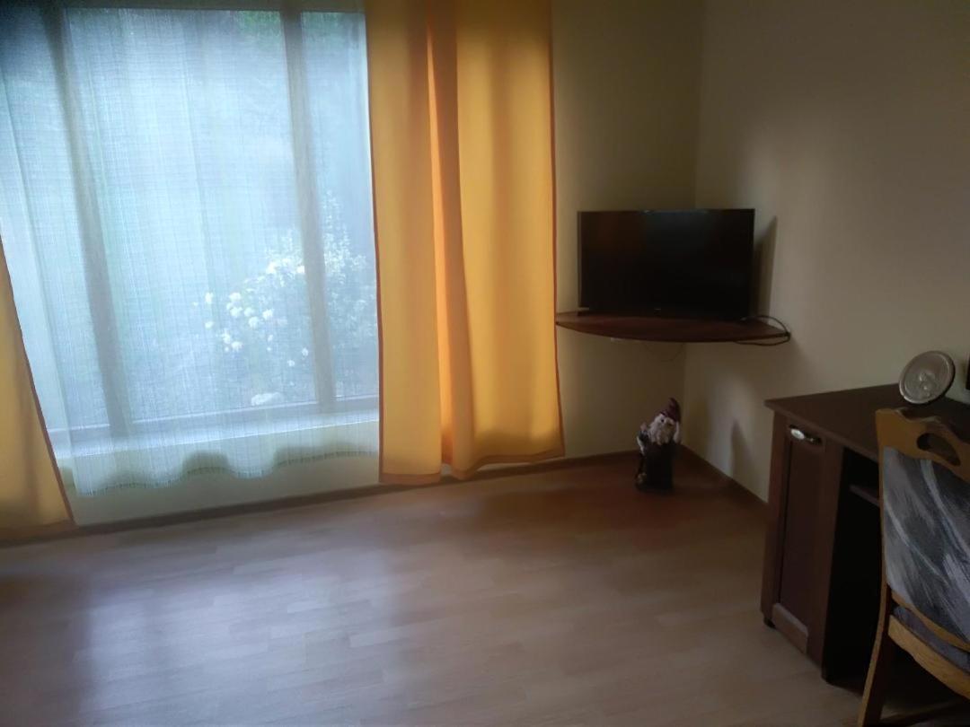 Vis Pension Viile Satu Mare Zewnętrze zdjęcie
