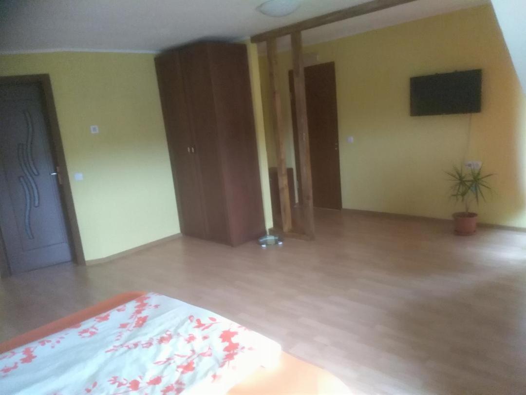 Vis Pension Viile Satu Mare Zewnętrze zdjęcie