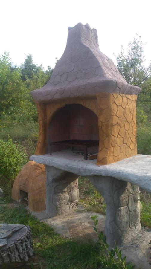 Vis Pension Viile Satu Mare Zewnętrze zdjęcie