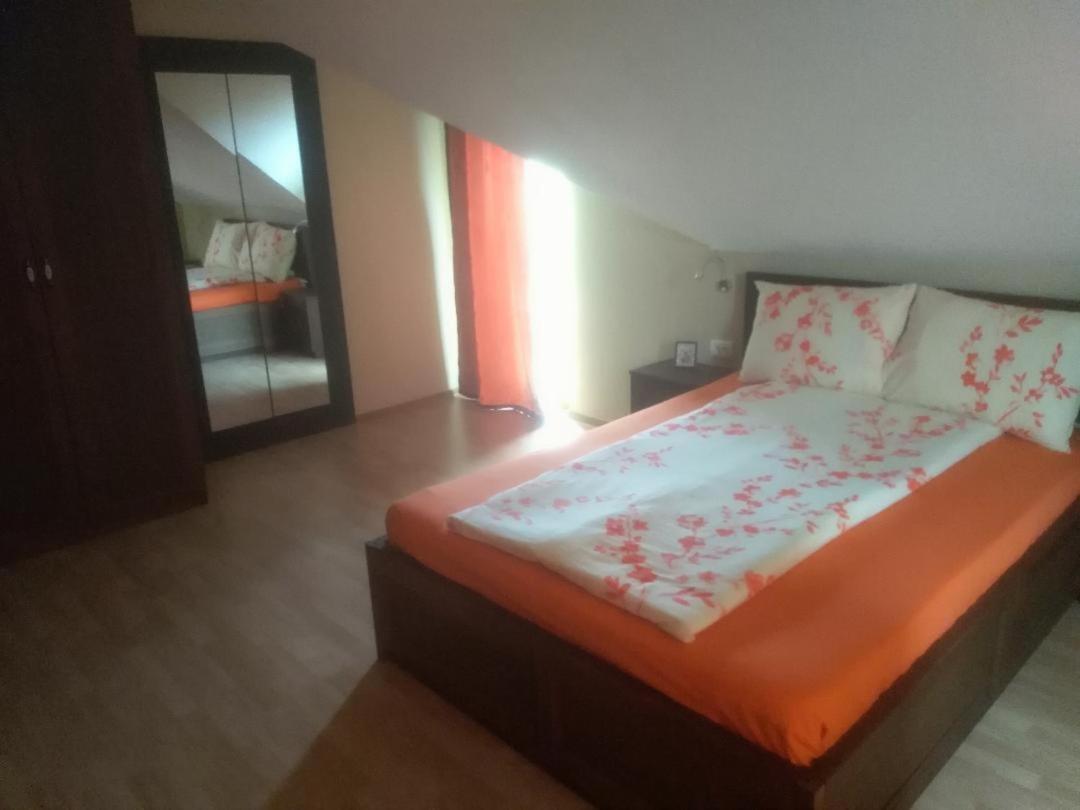 Vis Pension Viile Satu Mare Zewnętrze zdjęcie